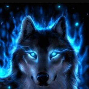 Meet your Posher, Dane